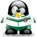 Penguin pingouin pinguino 153